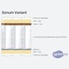 ����� ������� ������� Sonum Variant � �������