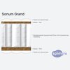 ����� ������� ������� Sonum Grand � �������
