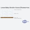����� ������� ������� Lonax Baby Strutto-Cocos (����������) � �������