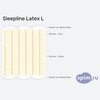 ����� ������� ������� Sleepline Latex Latex L � �������