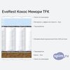 ����� ������� ������� EveRest ����� ������ TFK � �������