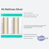 ����� ������� ������� Mr.Mattress Silver � �������