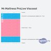 ����� ������� ������� Mr.Mattress ProLive Viscoool � �������