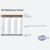 ����� ������� ������� Mr.Mattress Victor � �������