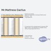 ����� ������� ������� Mr.Mattress Cactus � �������