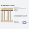 ����� ������� ������� Mr.Mattress Cactus L � �������
