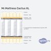    Mr.Mattress Cactus XL  