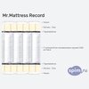 ����� ������� ������� Mr.Mattress Record � �������