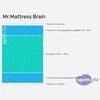 ����� ������� ������� Mr.Mattress Brain � �������