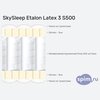 ����� ������� ������� SkySleep Etalon Latex 3 S500 � �������