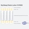 ����� ������� ������� SkySleep Etalon Latex 3 S1000 � �������