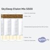 ����� ������� ������� SkySleep Etalon Mix S500 � �������