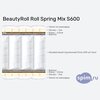 ����� ������� ������� BeautyRoll Roll Spring Mix S600 � �������