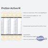 ����� ������� ������� ProSon Active M � �������