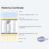 ����� ������� ������� Materlux Cardinale � �������