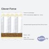 ����� ������� ������� Clever Force � �������