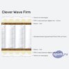 ����� ������� ������� Clever Wave Firm � �������