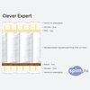 ����� ������� ������� Clever Expert � �������