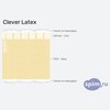 ����� ������� ������� Clever Latex � �������