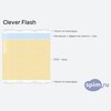 ����� ������� ������� Clever Flash � �������