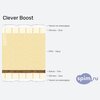 ����� ������� ������� Clever Boost � �������