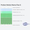 ����� ������� ������� ProSon Motion Memo Flex S � �������