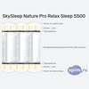 ����� ������� ������� SkySleep Nature Pro Relax Sleep S500 � �������