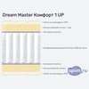 ����� ������� ������� Dream Master ������� 1 UP � �������