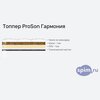 ����� ������� ������� ProSon Firm � �������