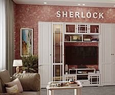   Sherlock (  )