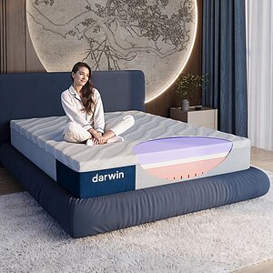 ������ darwin Elysian � ��������-������ ������ � ������� �����