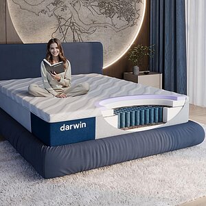 ������ Darwin Bliss ��������