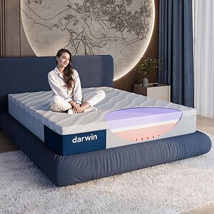 ������ Darwin Elysian Lite ��������