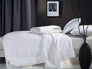Купить одеяло Asabella шелковое зимнее в сатиновом чехле 200х220