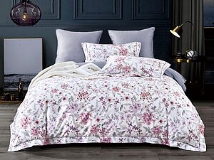 ���������� ����� Asabella 2251