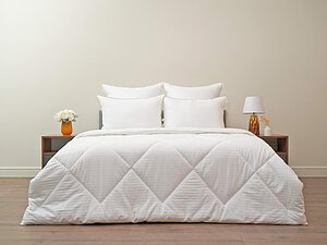 ������ Sofi De Marko Sofi 155�215