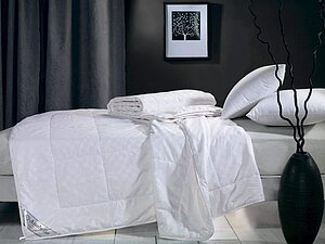 Купить одеяло Asabella шелковое всесезонное в сатиновом чехле 170х205