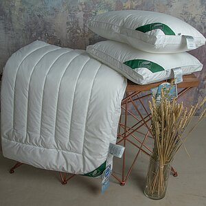 ������ Anna Flaum Fitness, ����������� � 2 ������ � 29 ��������