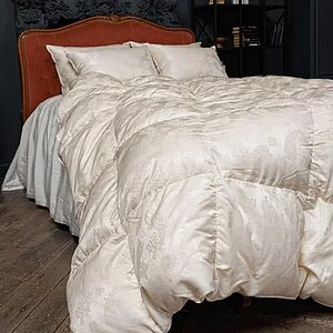 ������ ���� ���� ����� warm