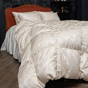 ������ ���� ���� ����� all season