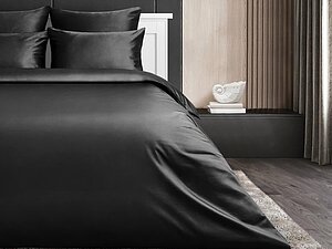 ������ ���������� ����� Soft Silver ����
