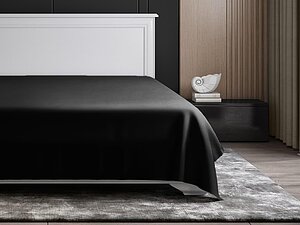 ������ �������� Soft Silver ����