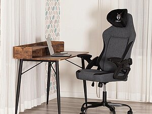 ������ ������ Tetchair iWolf
