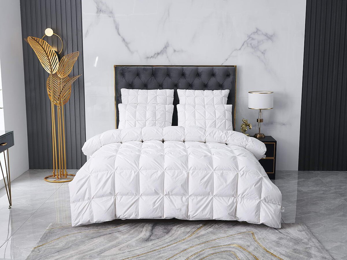 ������ Sofi De Marko �����