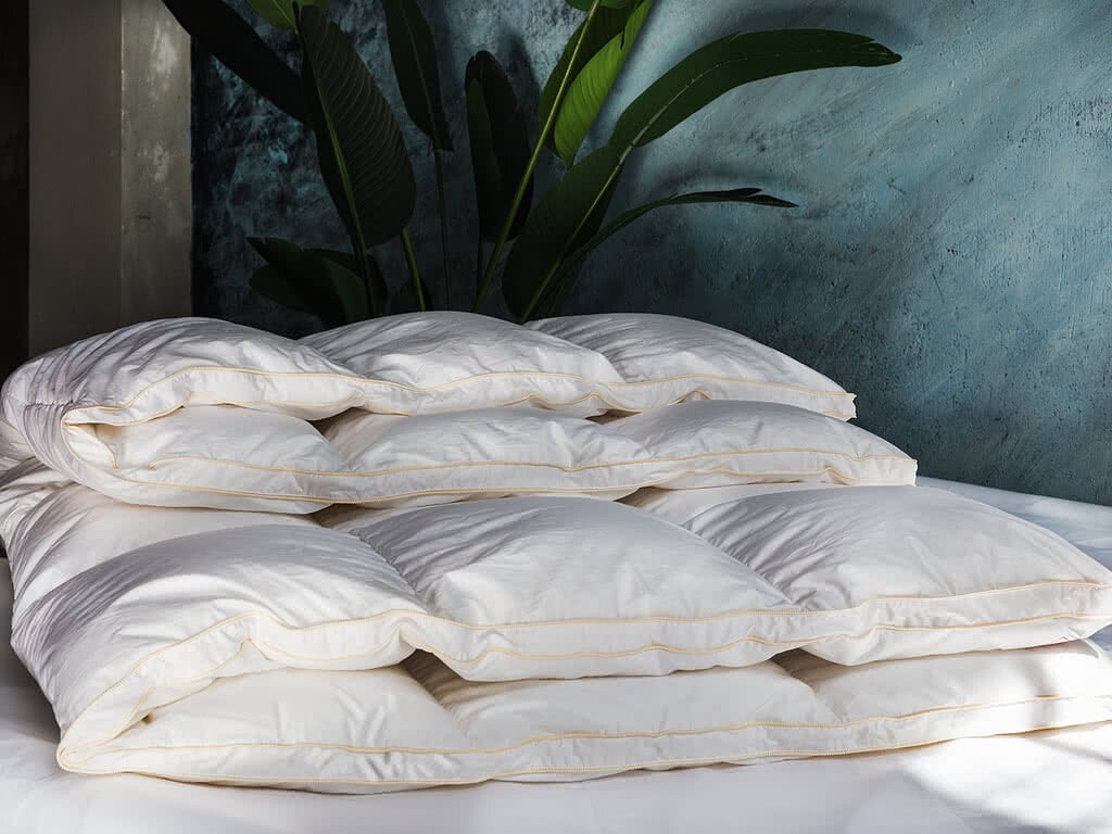 ������ German Grass Queen Down Grass, ������