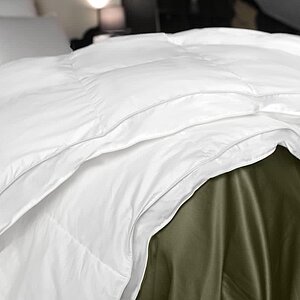 ������ ����� �������