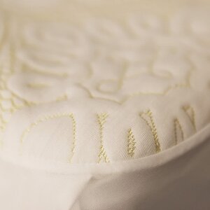 ������������ ���� �� ����� Evkalipt