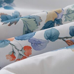 ������ Sofi De Marko ���� � ������������� ��� � 37 ��������