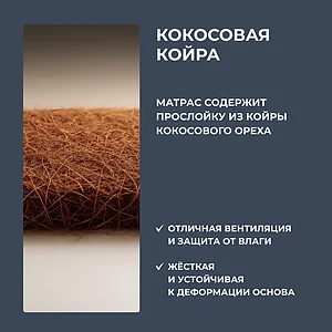 ������ Dimax �� ������� ����