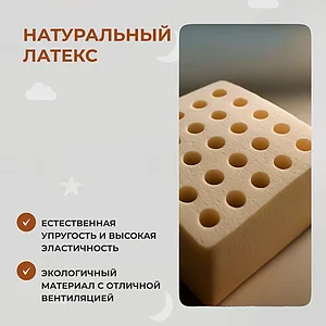 ������ Dimax ����� ����